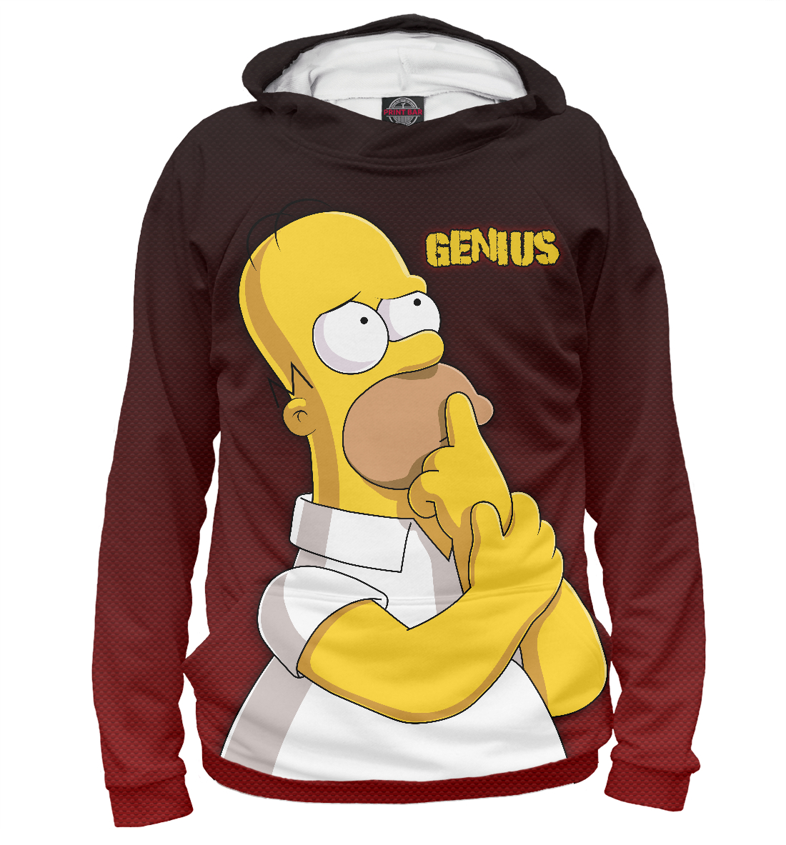 

Homer GENIUS