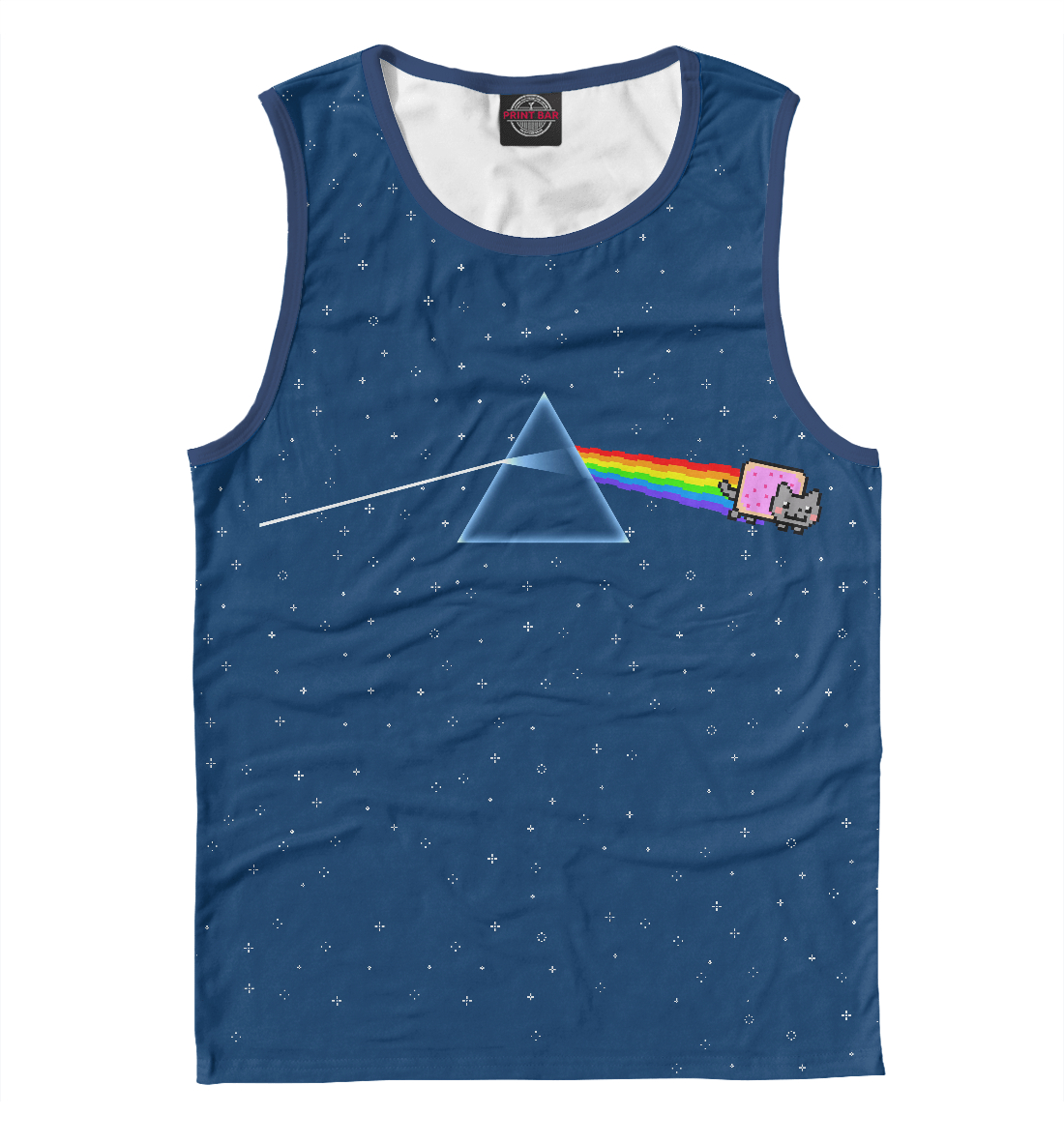 

Pink Floyd cat