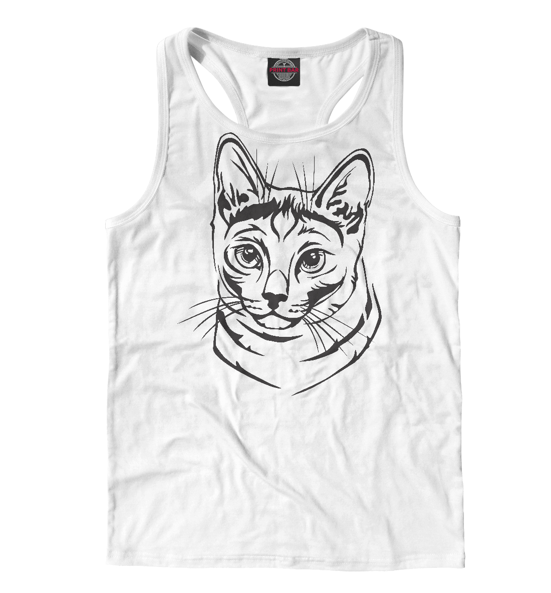 

Русская голубая кошка