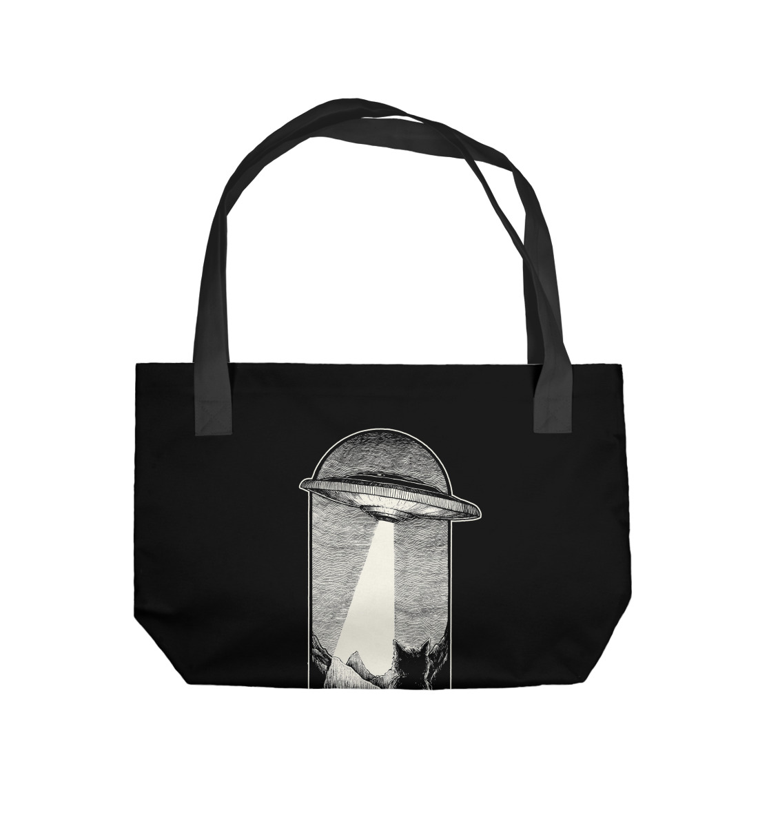 

Летающая тарелка и кошка