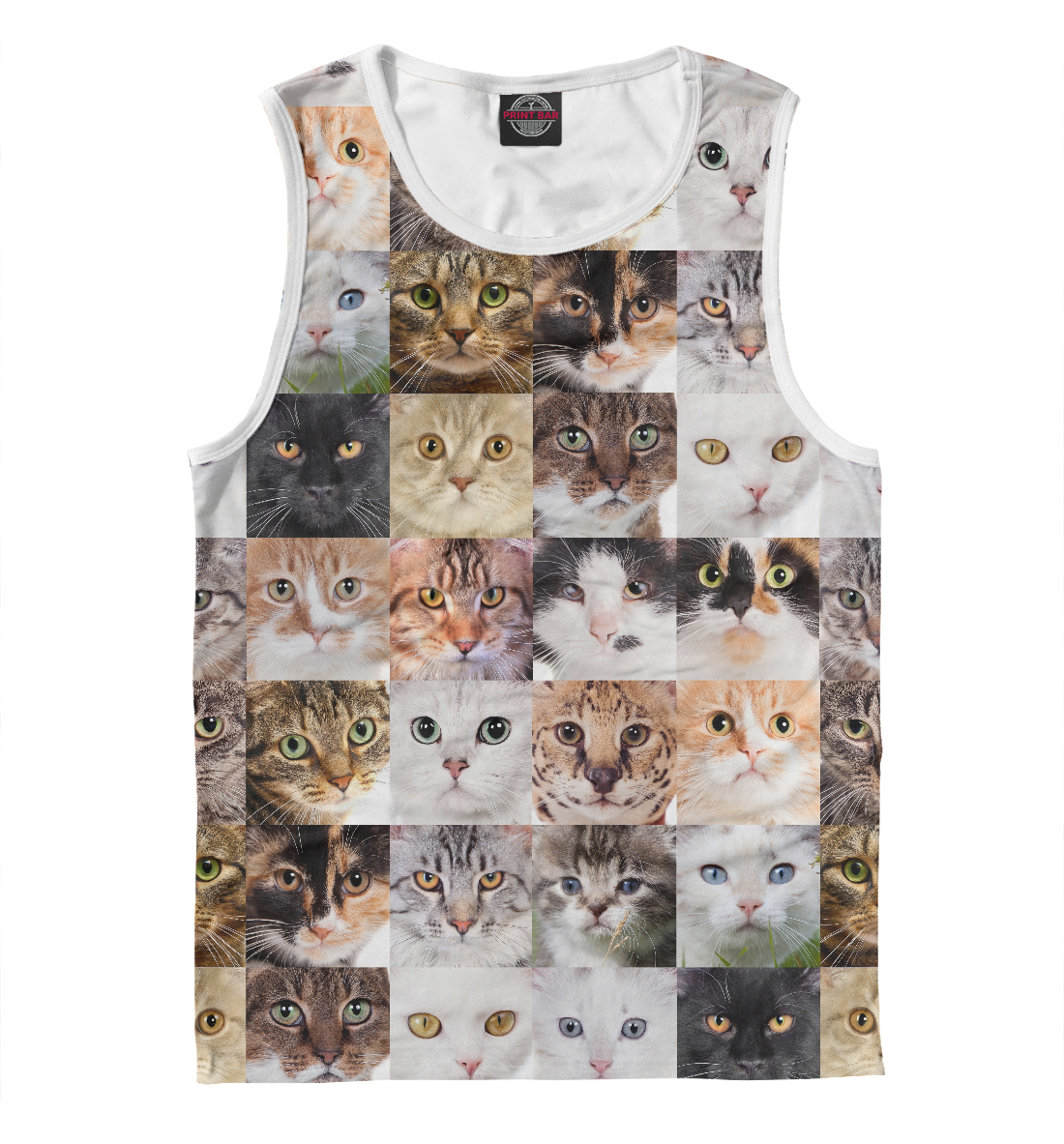 

Кошачий коллаж