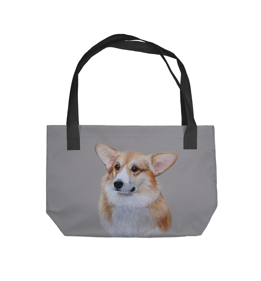 

Corgi dog