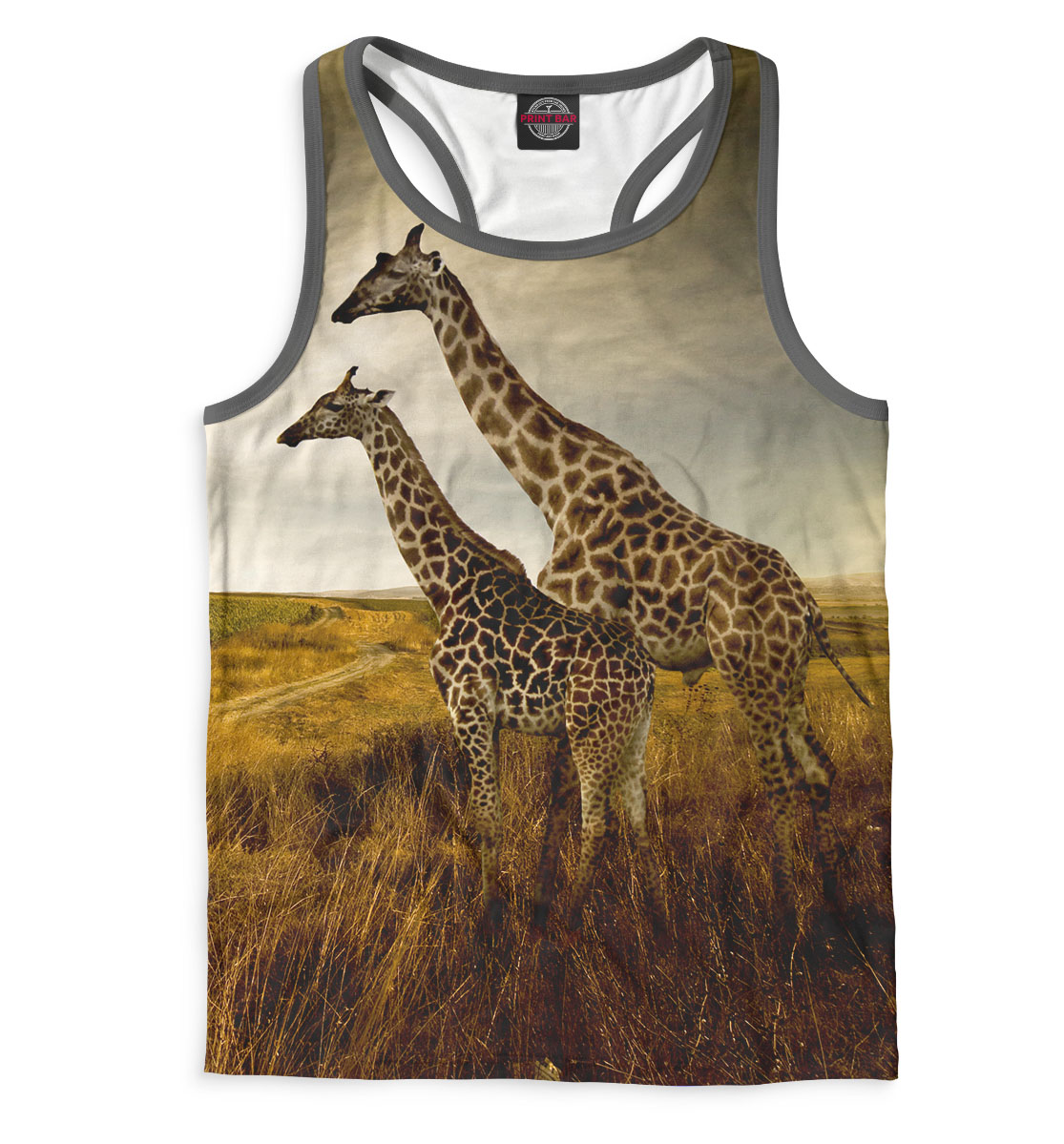 

Жирафы на прогулке