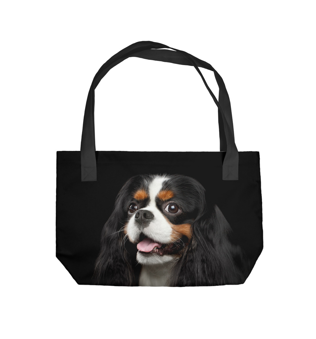 

Кавалер Кинг Чарльз спаниель