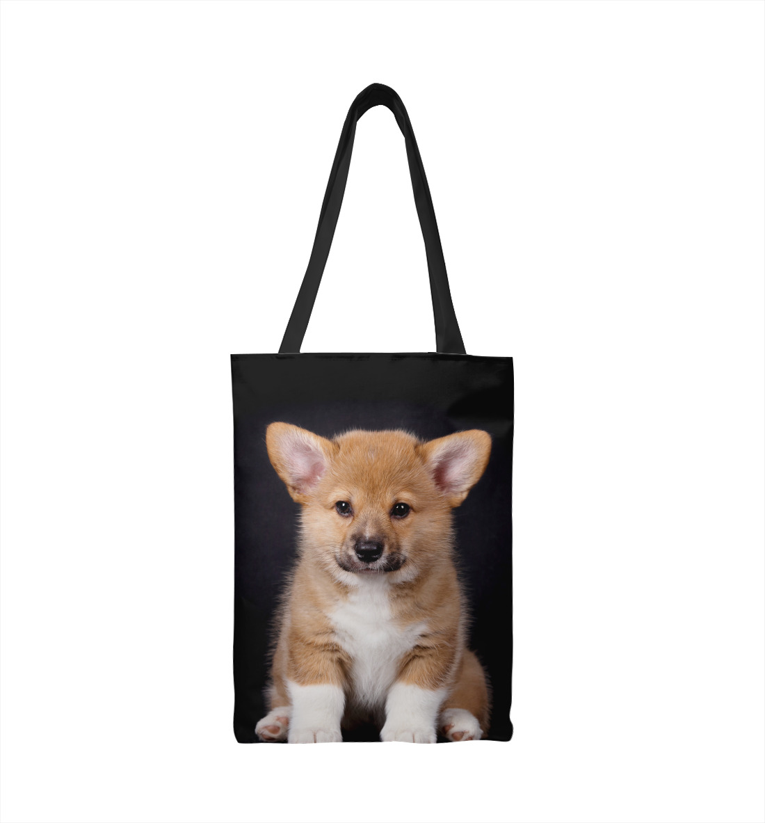 

Щенок вельш корги пемброк