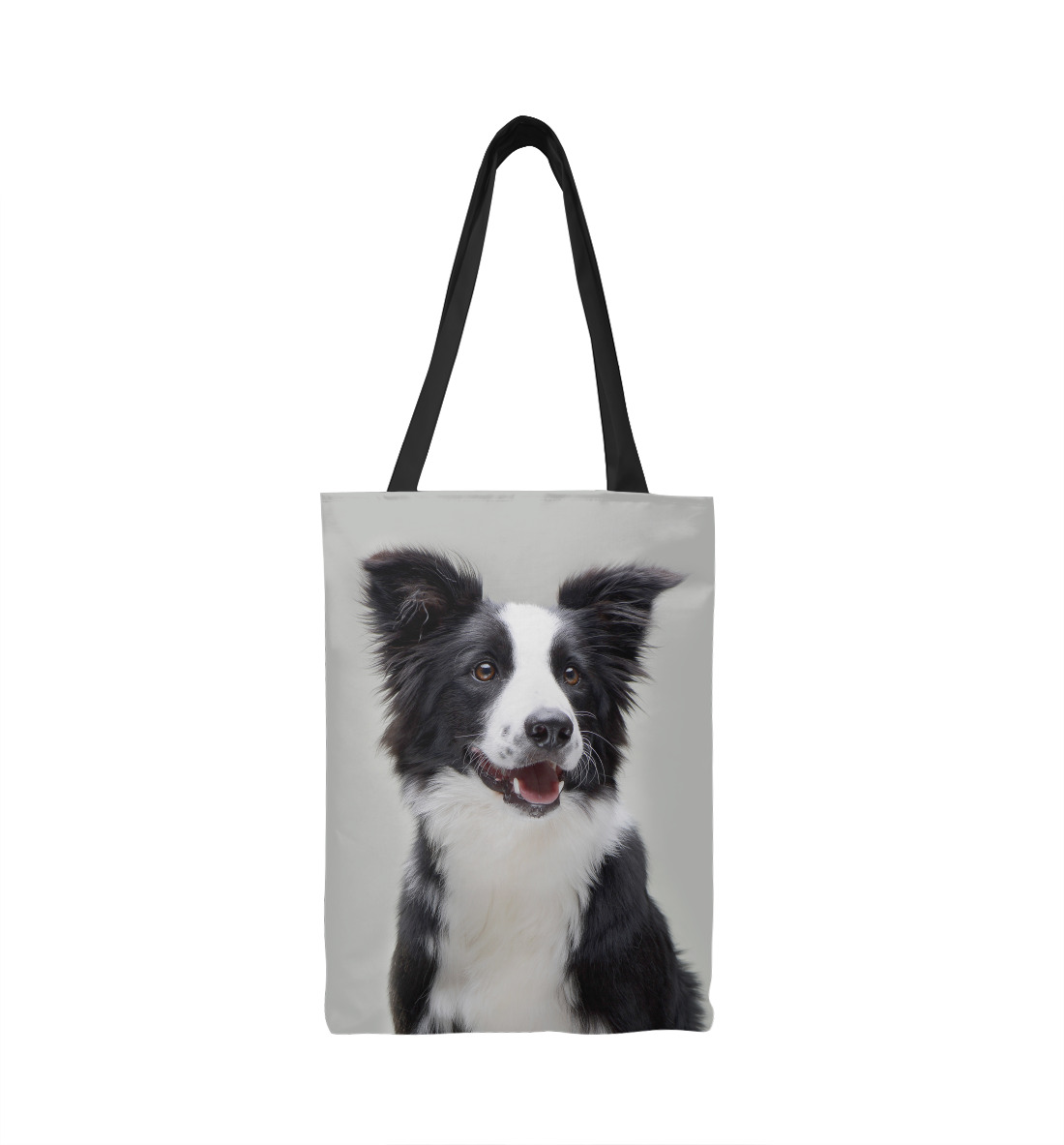 

Бордер - колли