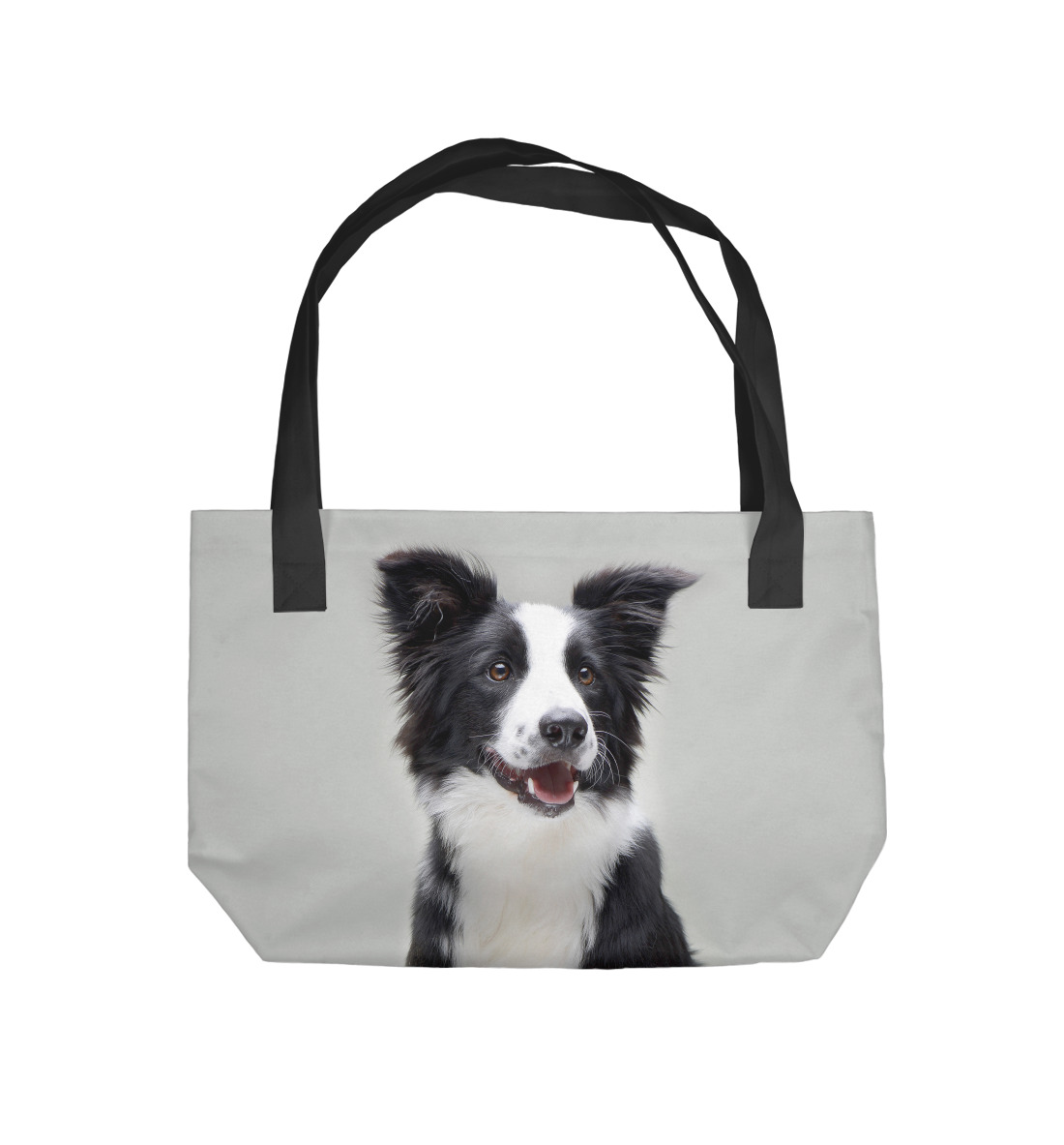 

Бордер - колли