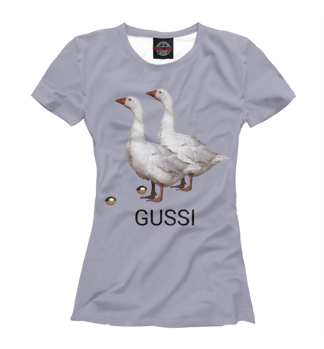 

GUSSI