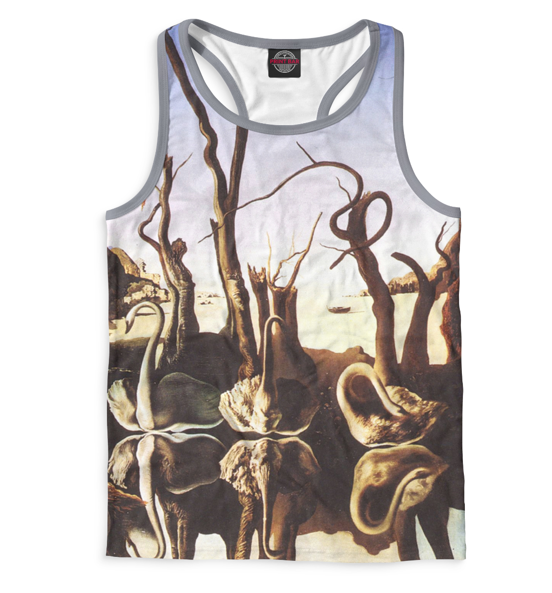 

Лебеди, отражающиеся в слонах