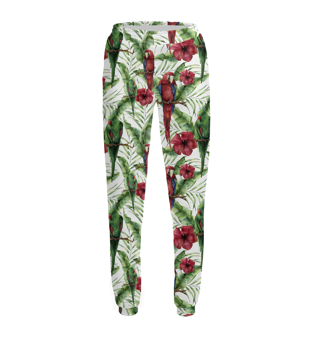 

Попугаи ара