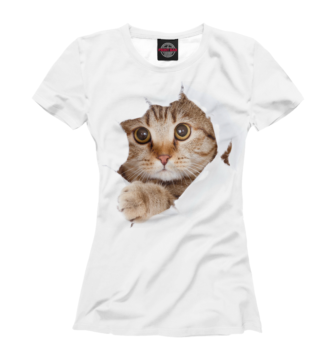 

Котик Мяу