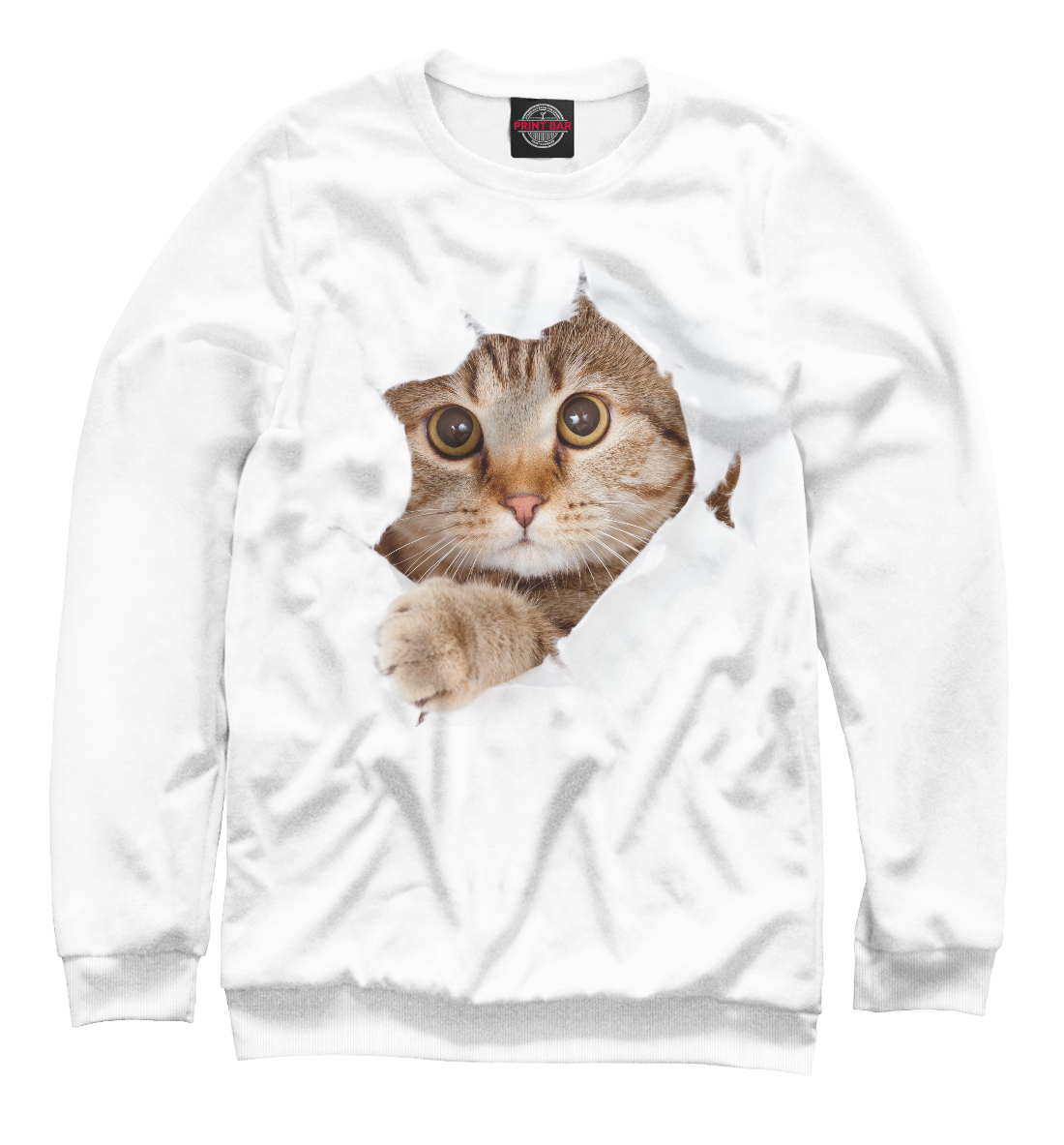 

Котик Мяу
