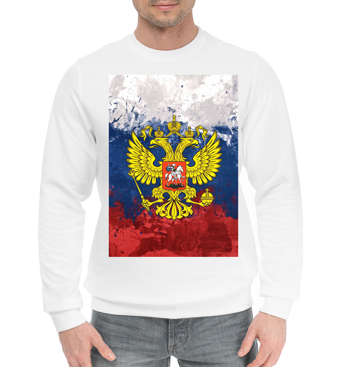 

Триколор и герб