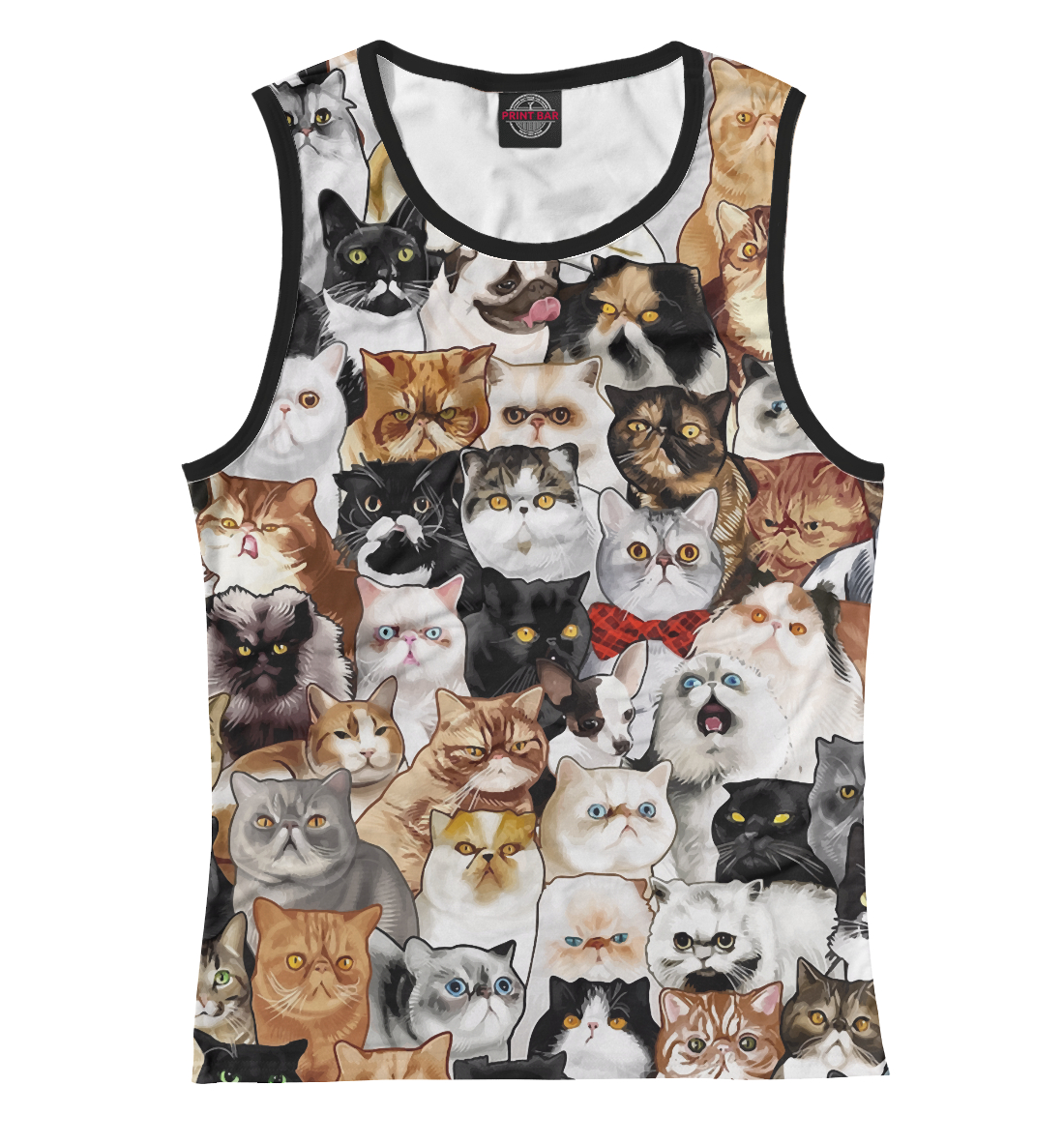 

Коты и Мопс