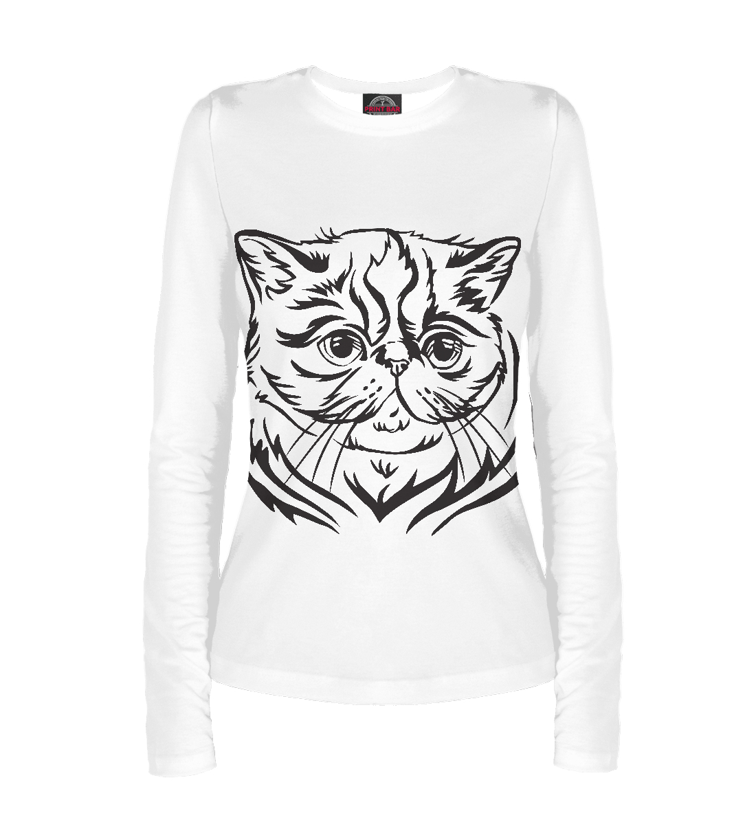 

Экзотическая кошка