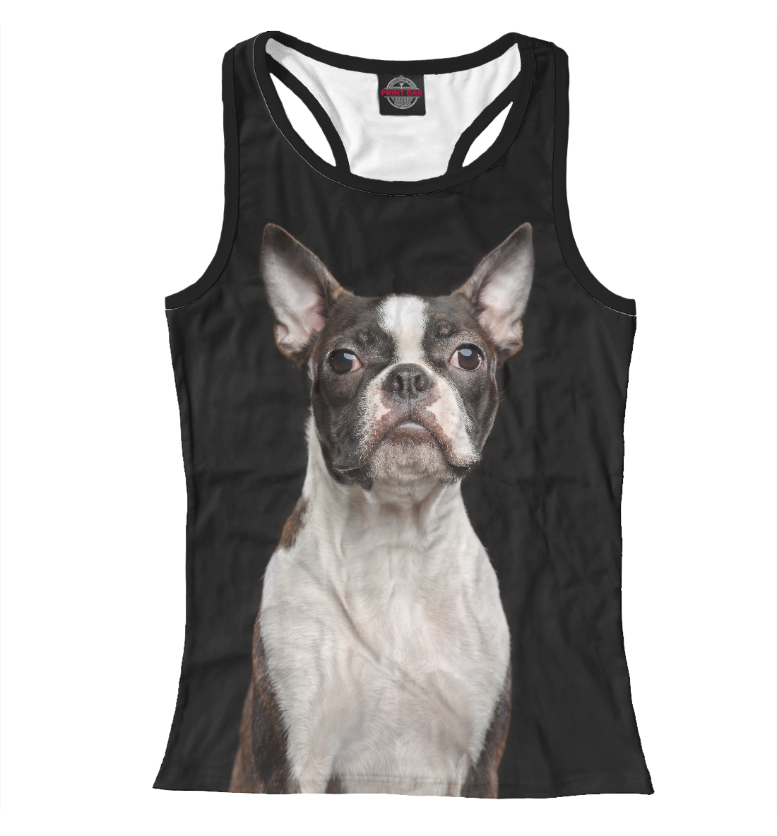 

Бостонский терьер