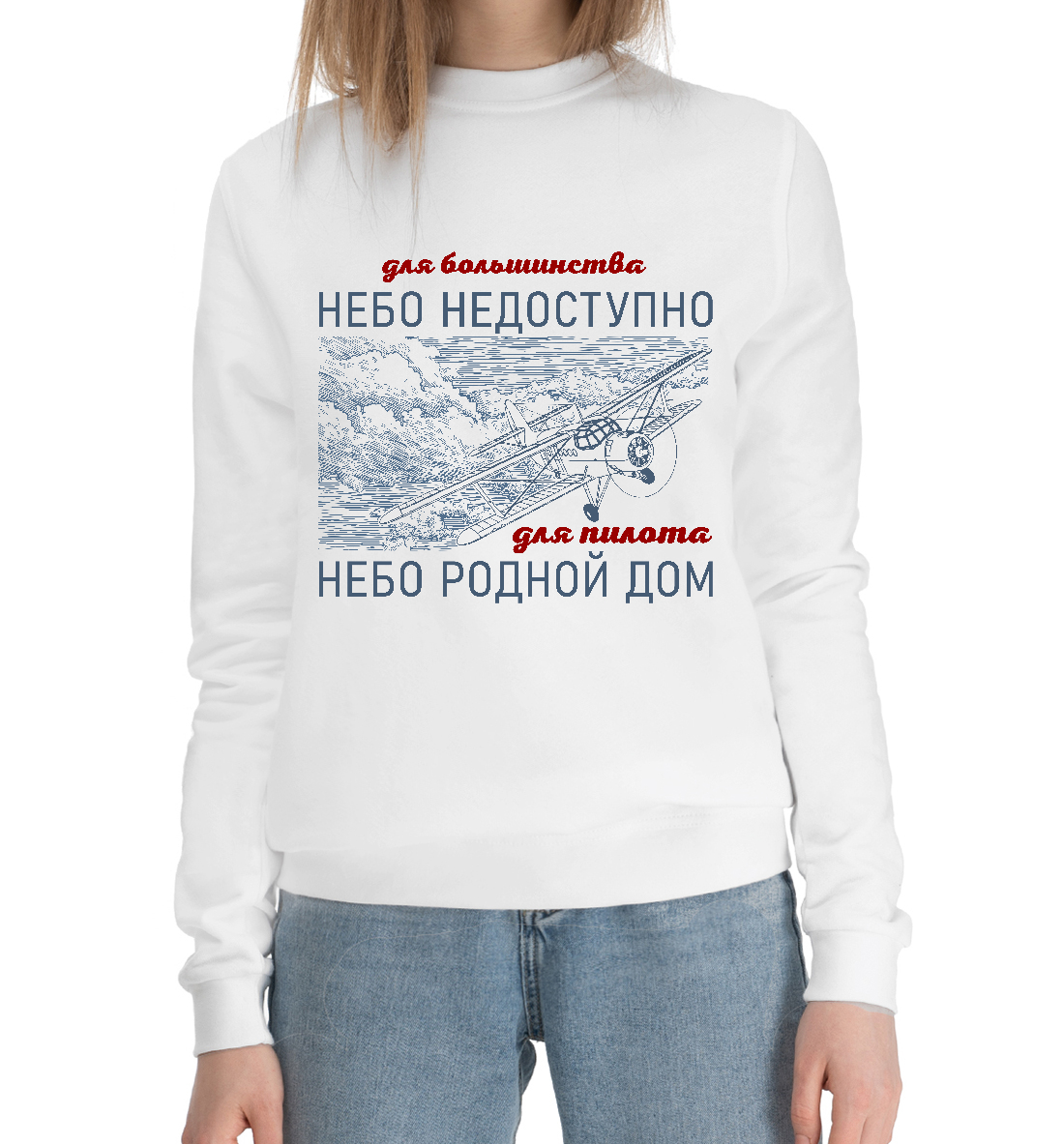 

Небо дом пилота