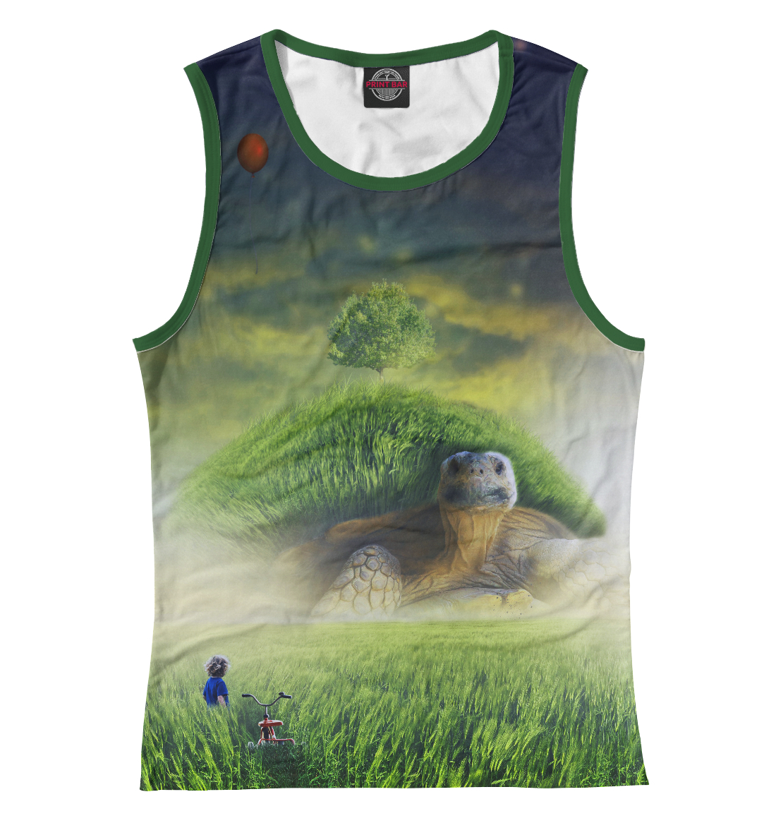 

Turtle and the boy