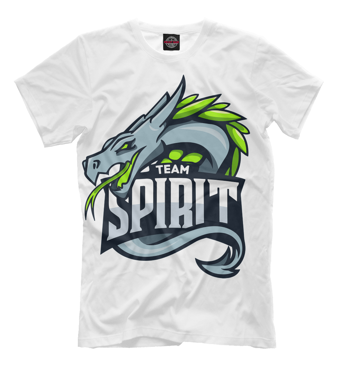 

Spirit / CS:GO Team