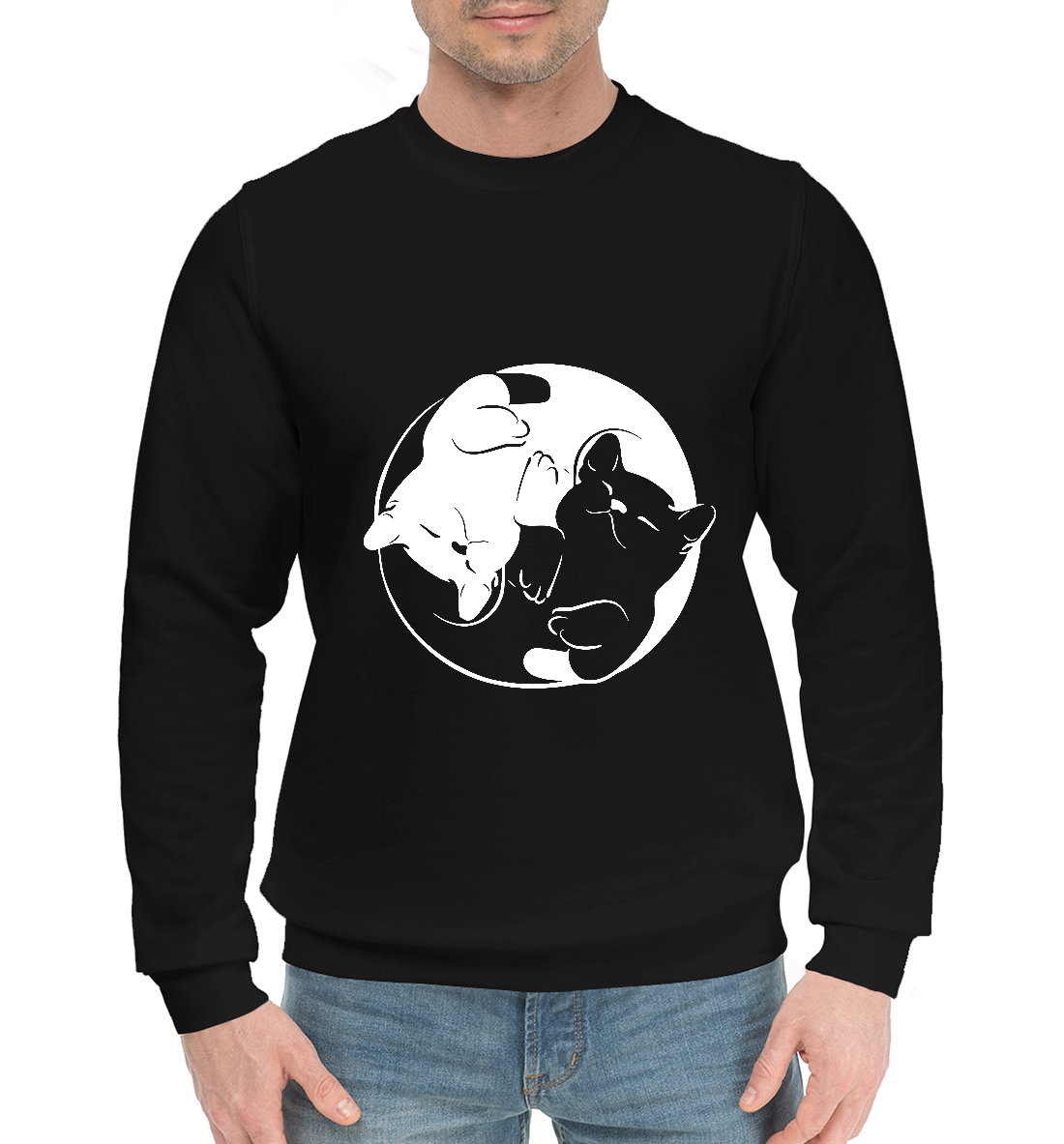 

Инь и Янь коты