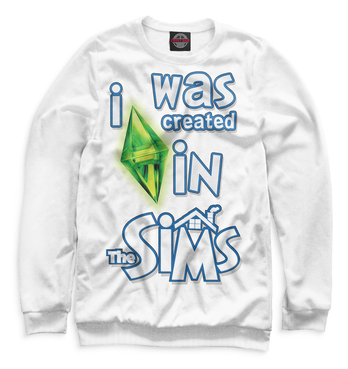 

I Was Created in Sims