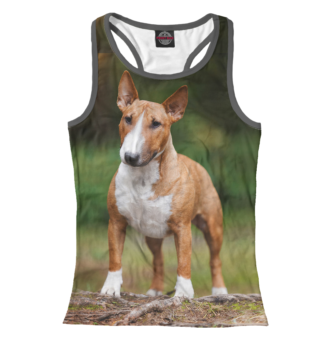 

Бультерьер