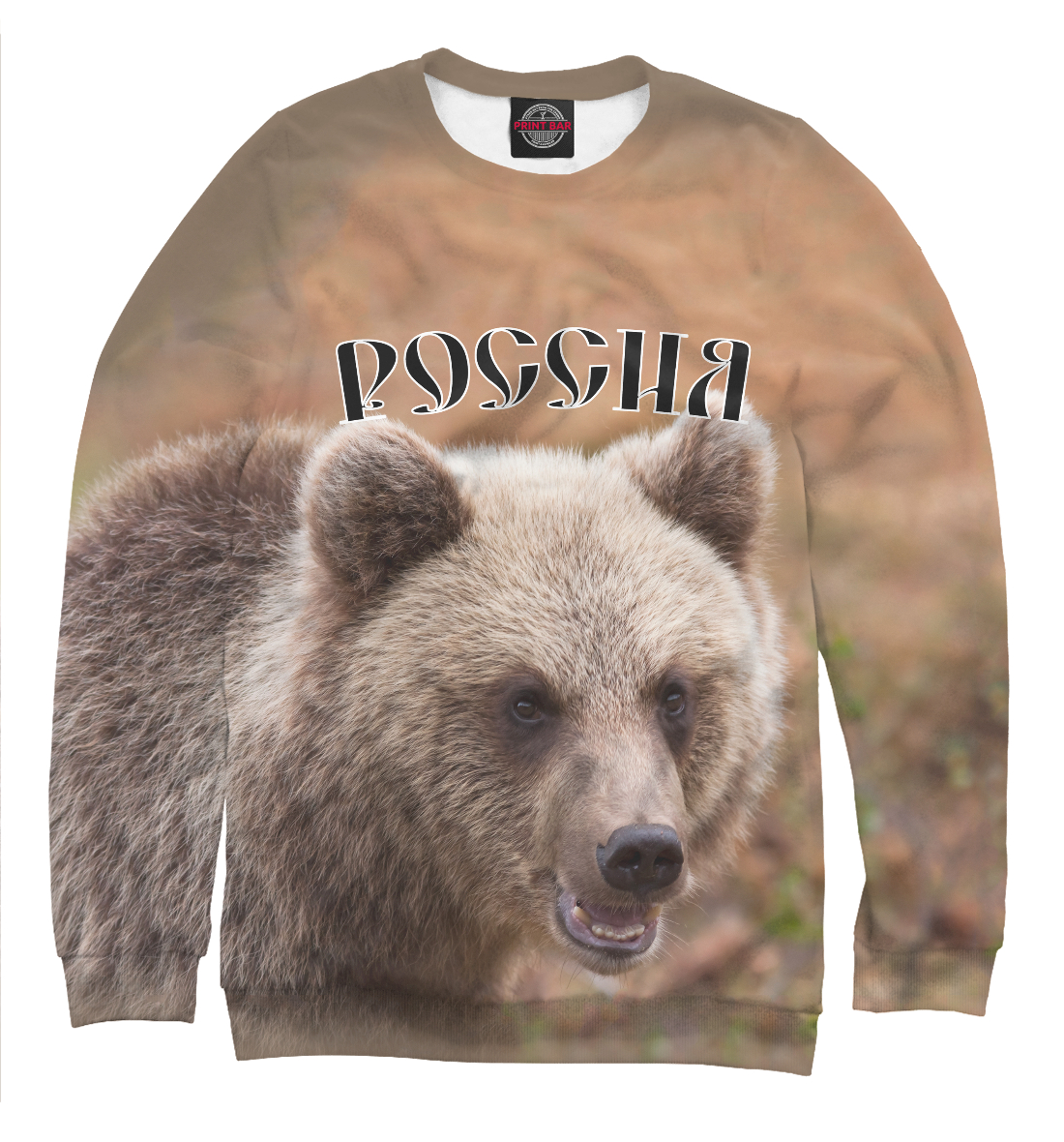 

Россия