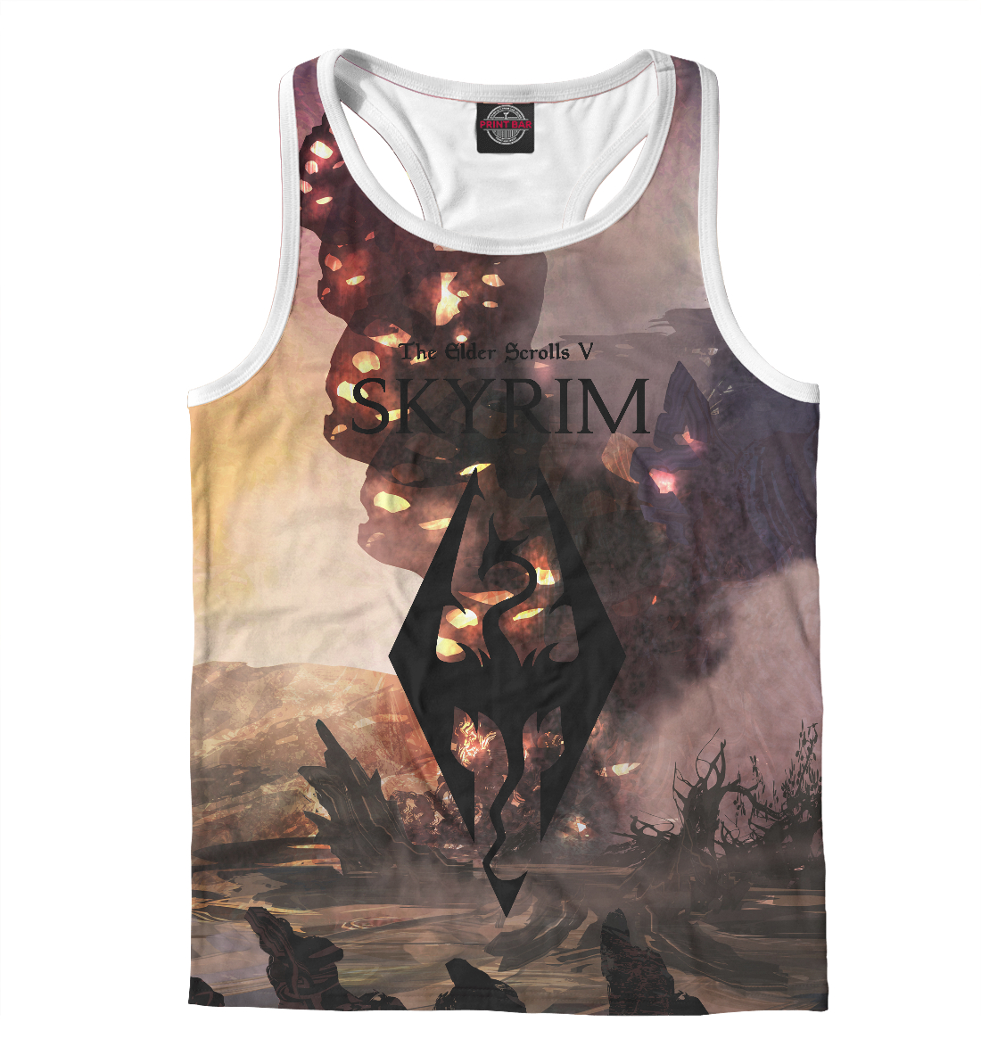 

SKYRIM