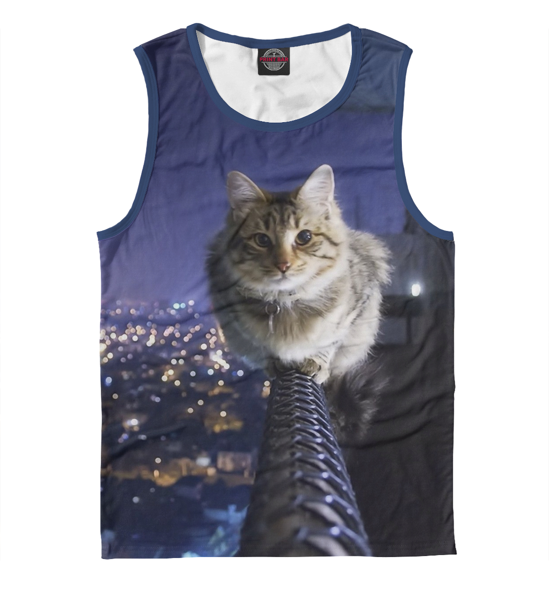 

котик