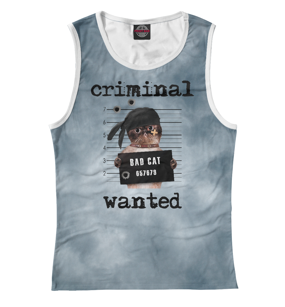 

Criminal cat