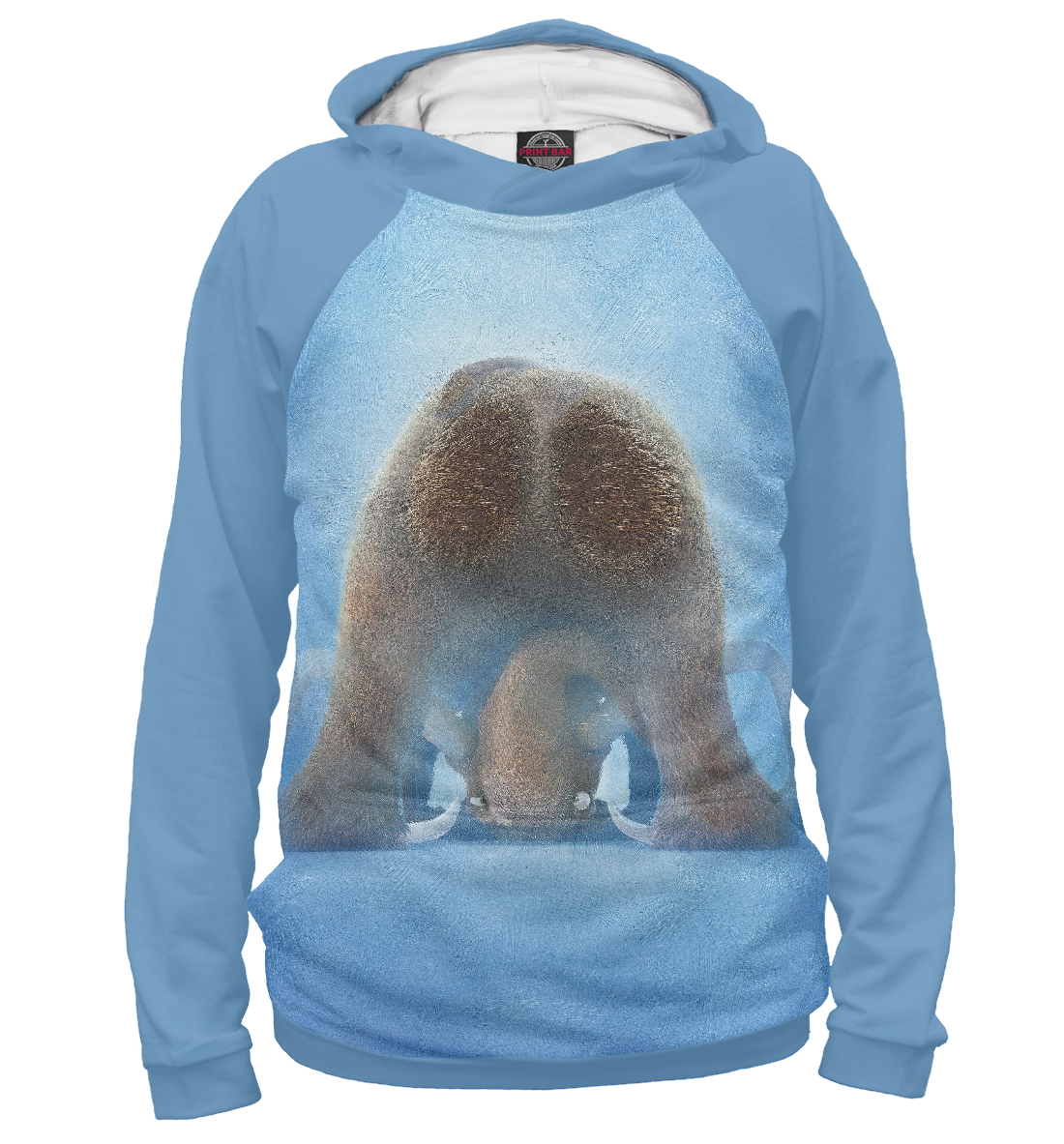 

Ледниковый период