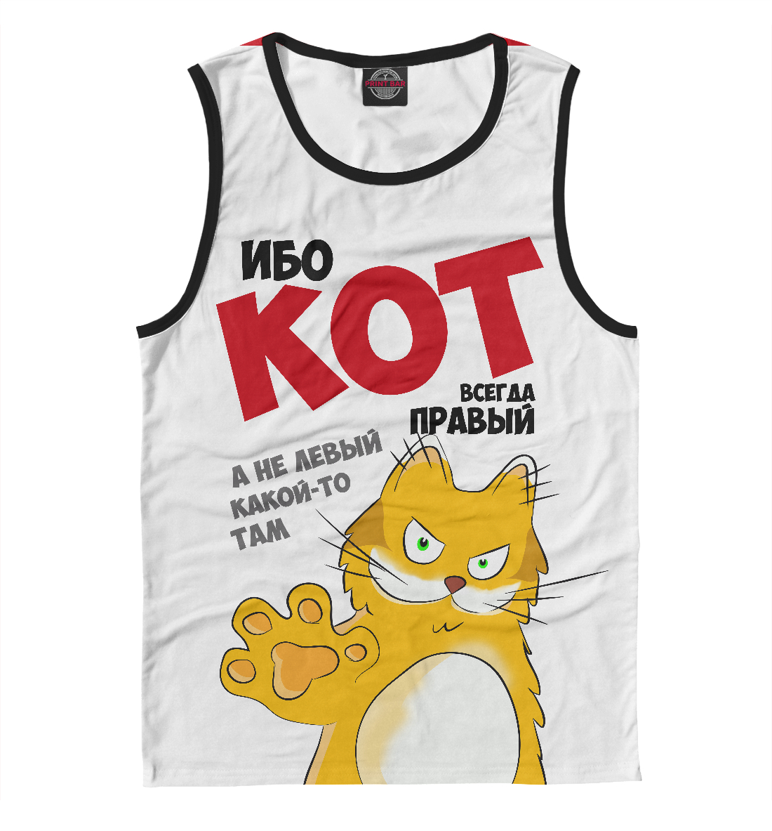 

Кот всегда правый