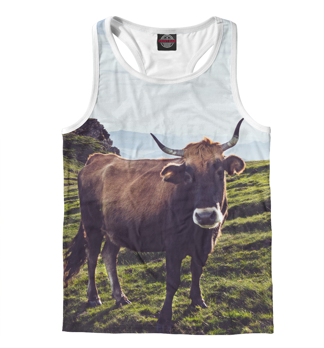 

Бык сельский