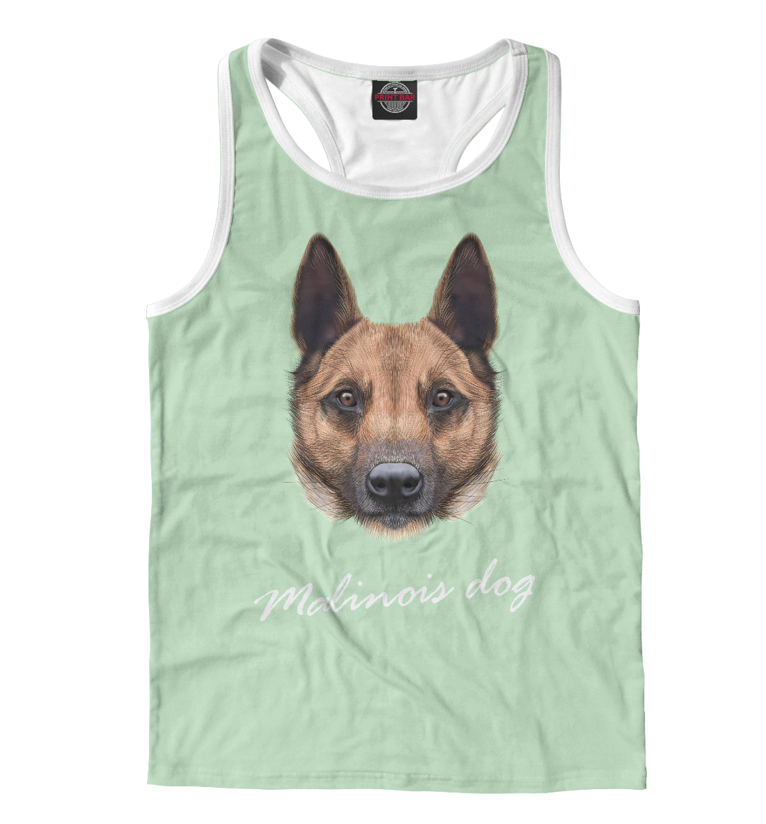 

Malinois dog