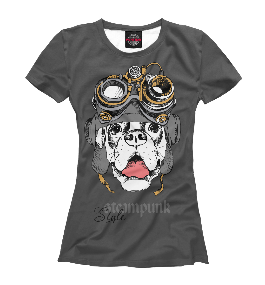 

Steampunk Style