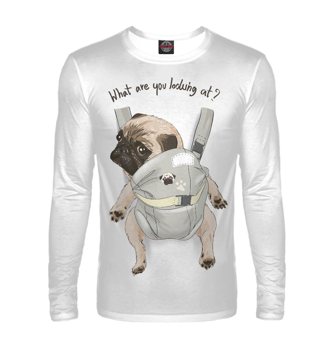 

Мопс в рюкзаке