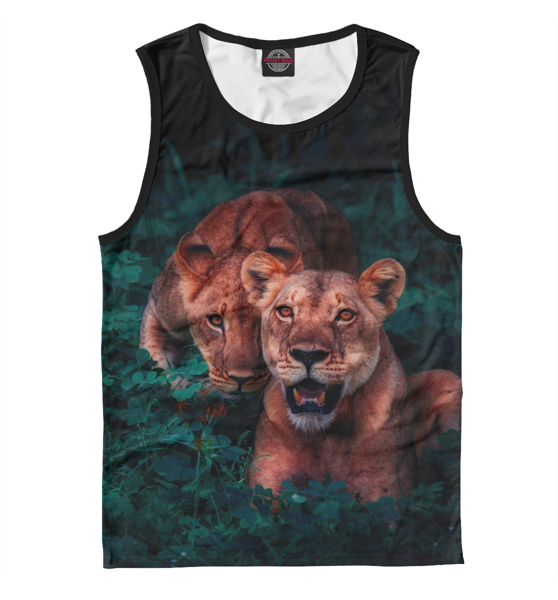 

Lions