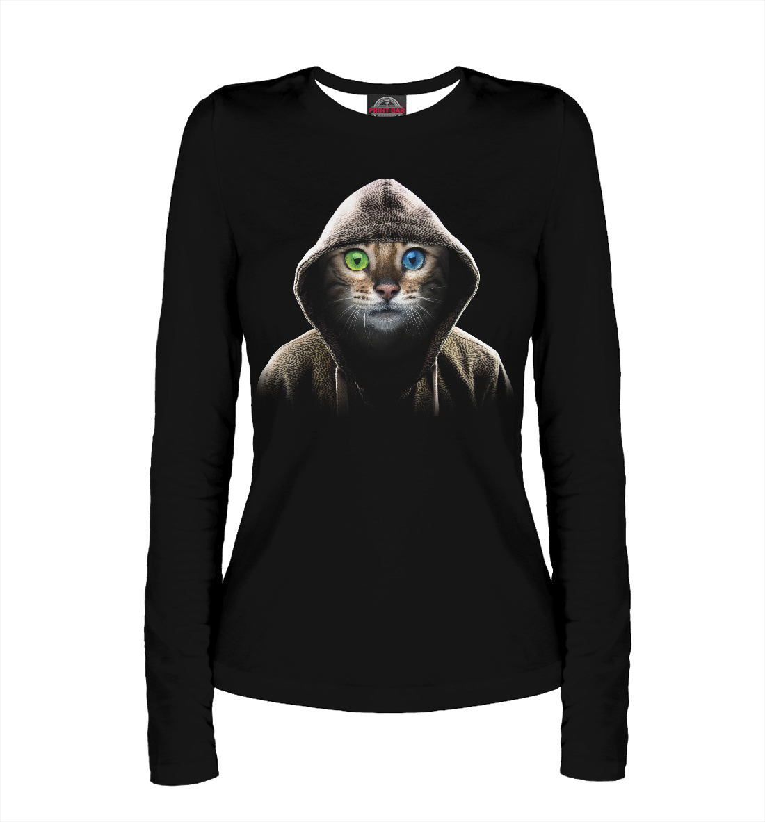 

Кот в капюшоне