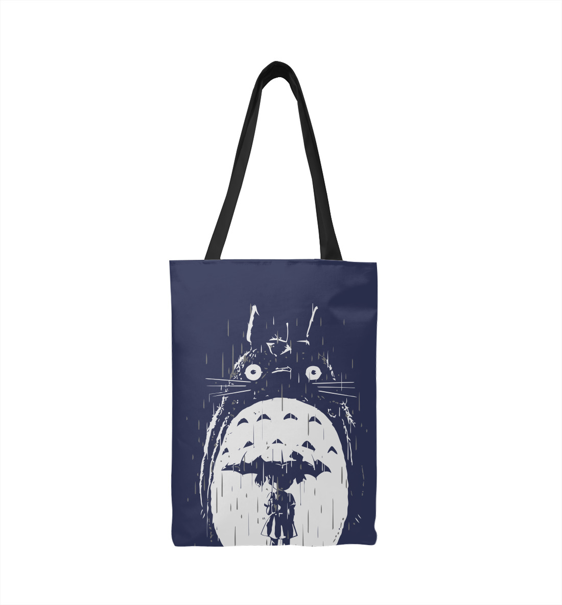 

Totoro in Rain