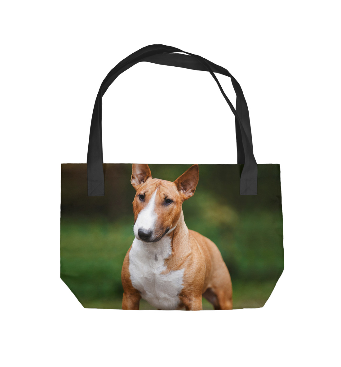 

Бультерьер