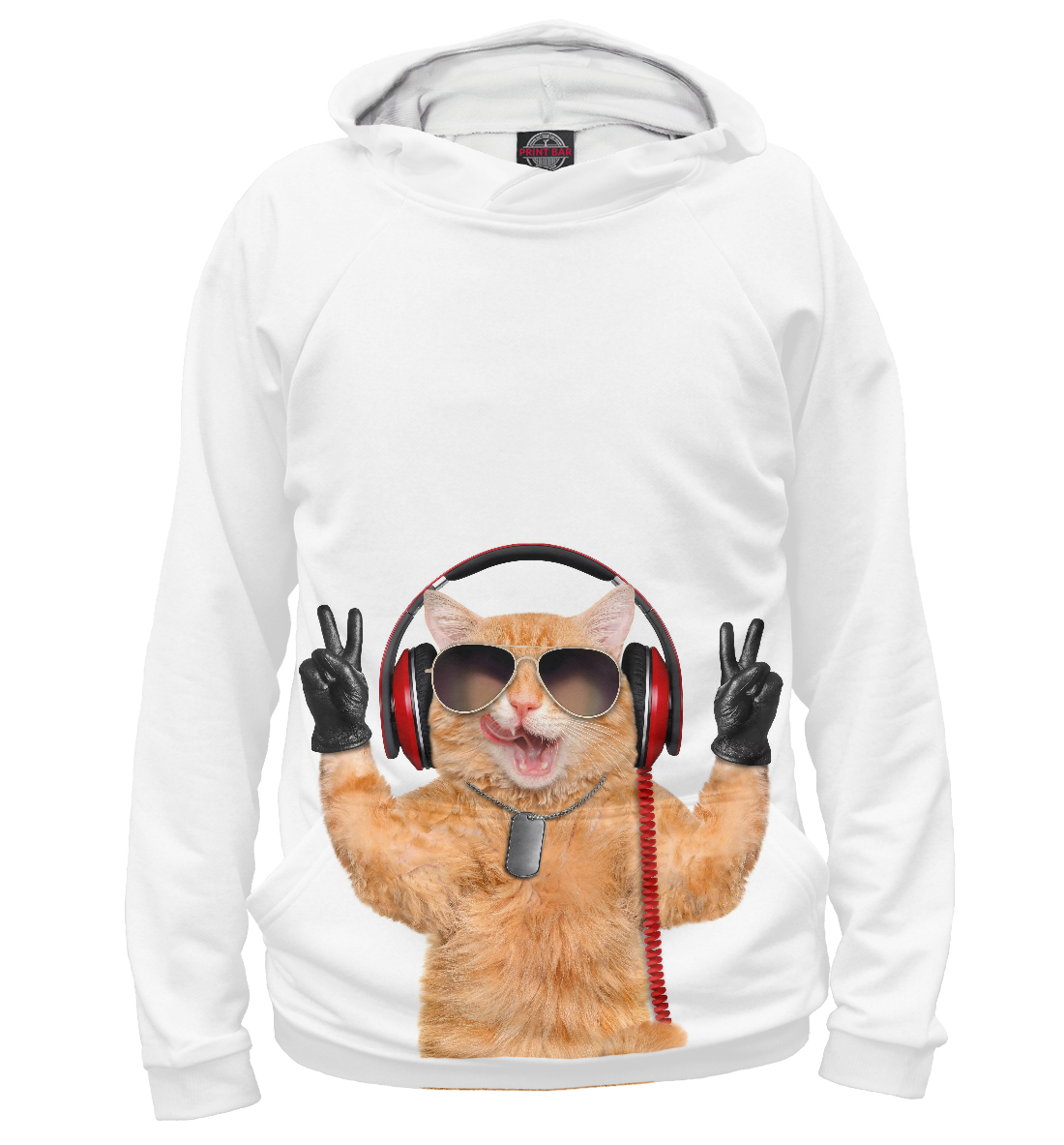 

Кот в наушниках