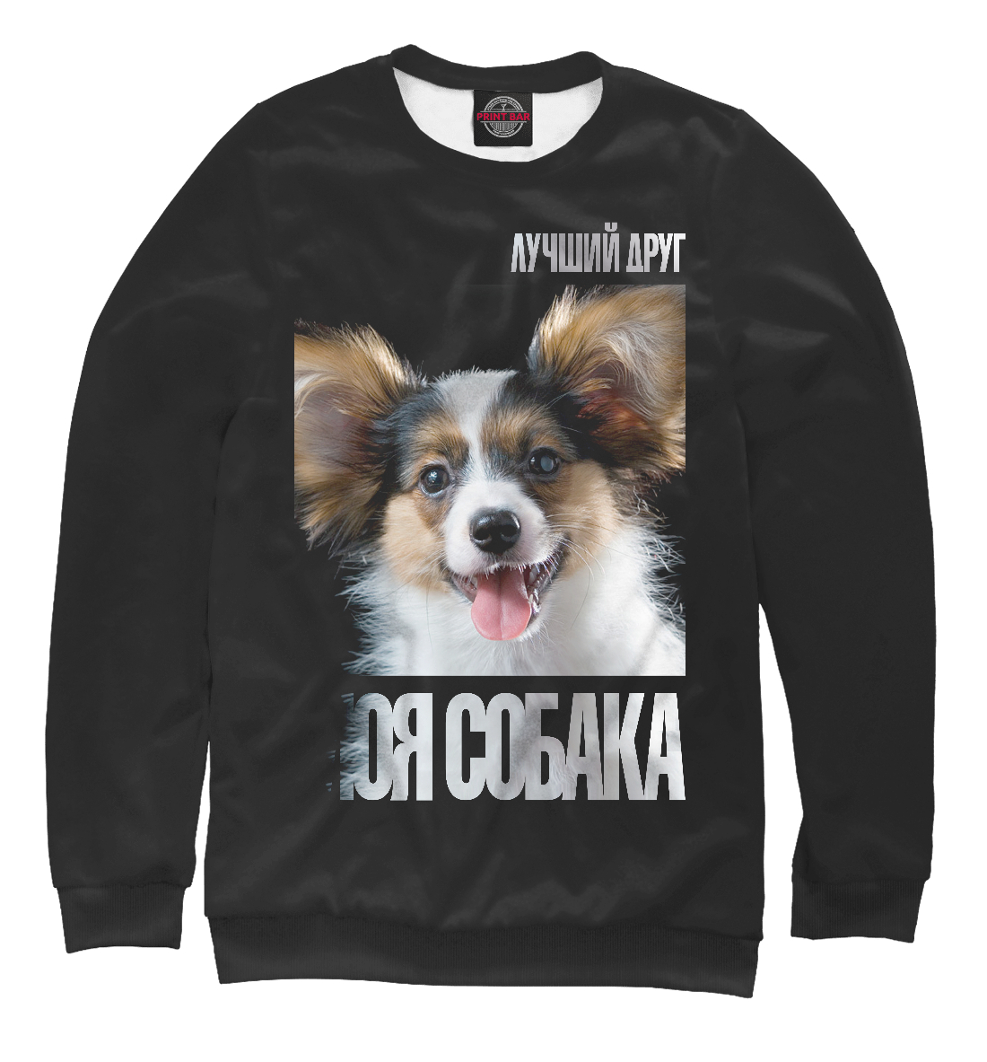

Папийон