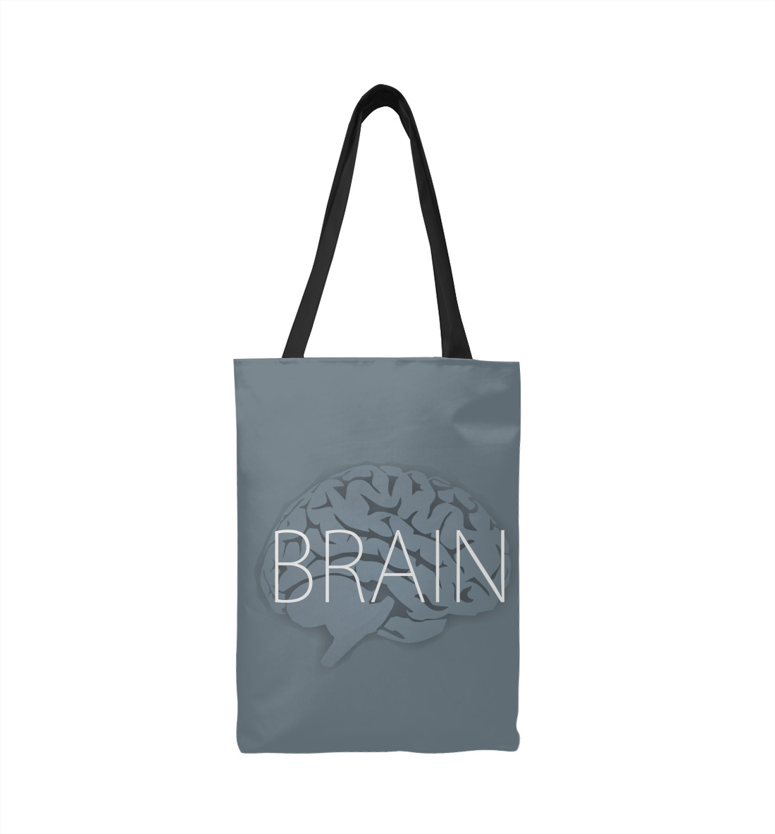 

Brain