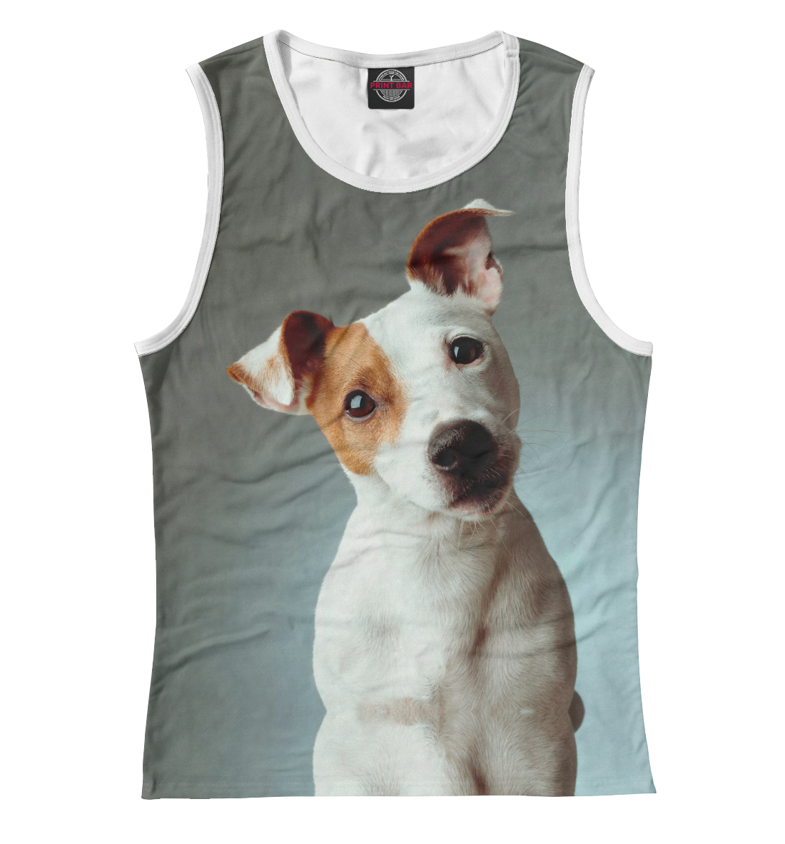 

Jack Russell Terrier