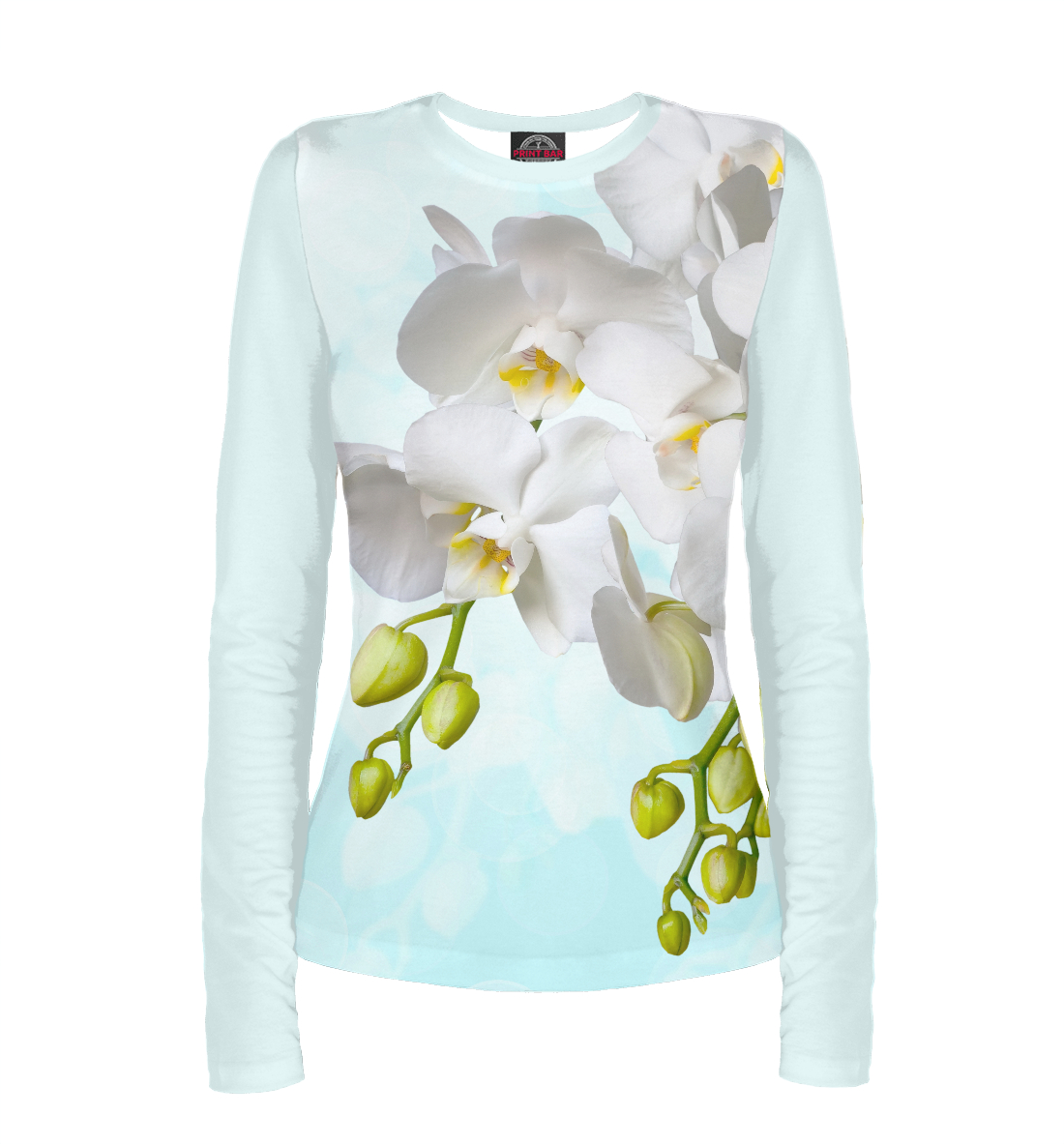 

Белоснежная орхидея