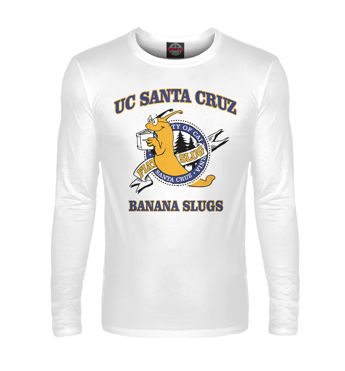 

UC Santa Cruz Banana Slugs
