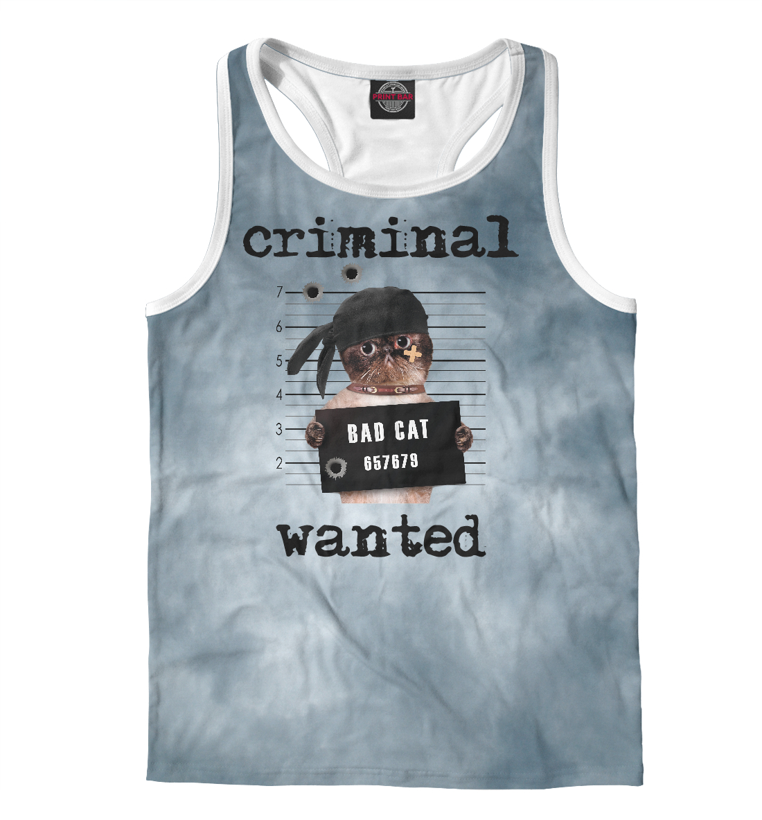 

Criminal cat
