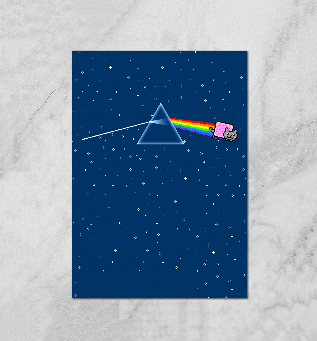 

Pink Floyd cat