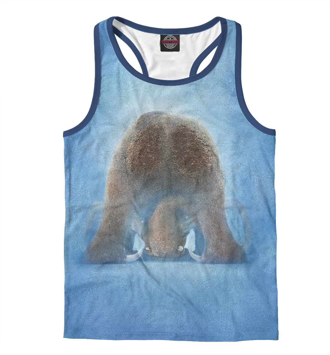 

Ледниковый период