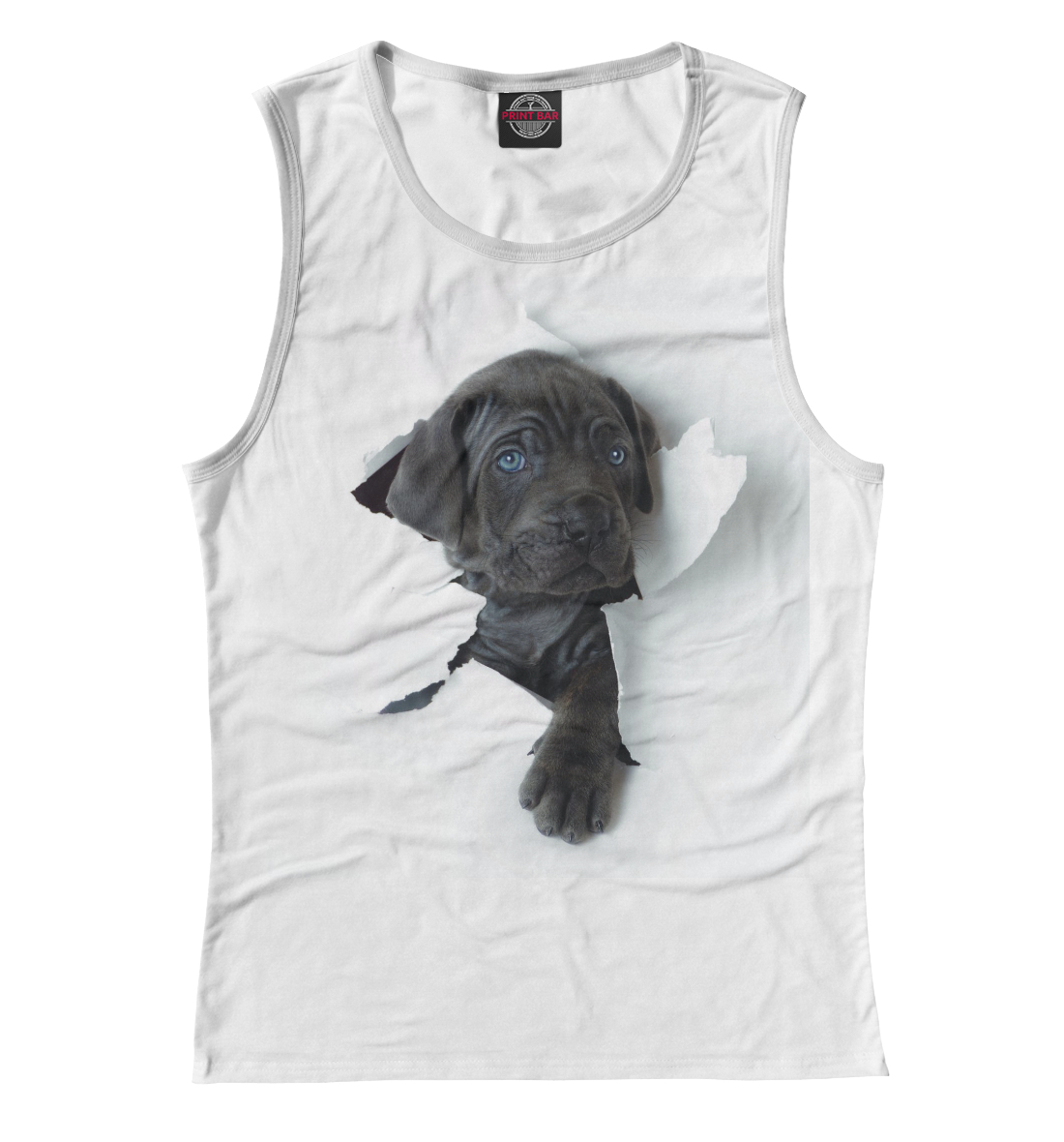 

Песик с голубыми глазками